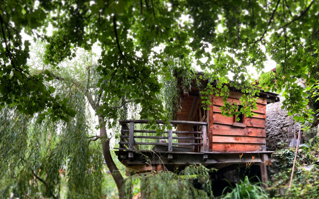 Abris et cabane de jardin